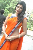 Actress Shraddha Das Saree Photos